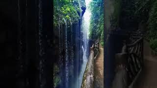 The Beauty of Nature  #waterfall #awesomeearth #beautifulnature #reels #shorts