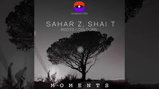 Sahar Z, Shai T -  Colours