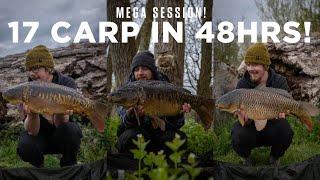 EPIC spring session: 17 carp in 48hrs! | Carp Fishing 2021