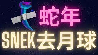 Cardano最大迷因幣SNEK 蛇年上月球? #SNEK #ADA