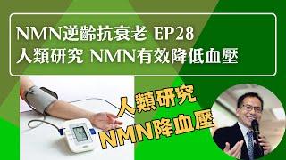 NMN 逆齡抗衰老系列 Ep28：人類研究顯示NMN有效降低血壓️ | 逆齡抗衰老⏪ | Dr. SAM