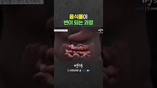 방금 먹은 음식 몇 시간 후에 변으로 나올까?