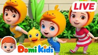LIVEDance Party Live with Domi Kids!  Move and Groove! | Nursery Rhymes