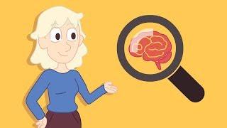 Science in 1 minute: What is psychometrics?