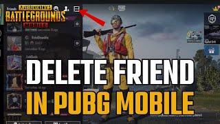 How to Delete Friend in Pubg Mobile 2024?