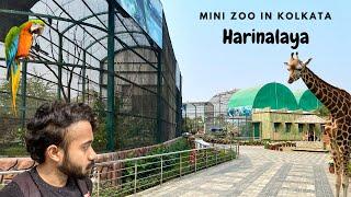 Harinalaya - Mini Zoo in Kolkata | New Town Zoo Kolkata | Kolkata Zoo | 4K