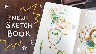 how to start a new sketchbook   DRAW WITH ME