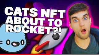 COOL CATS NFT About To Rocket!? (Critical Update)