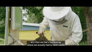 Telia and BeeLab connecting beehives to save the bees