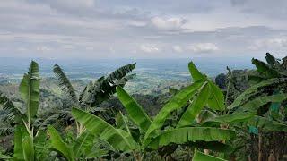 Catación de Paisaje - Finca Tradicional El Balcón -  Buenavista, Quindío