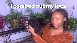 Why I combed out my locs | embarking on a new journey