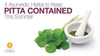 4 Ayurvedic Herbs to Keep Pitta Contained This Summer | John Douillard's LifeSpa