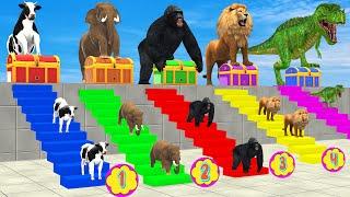 Cow Elephant Lion Gorilla Tiger T-Rex Don't Choose the Wrong Mystery Box! CHALLENGE Animals Game