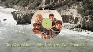 One Direction - What Makes You Beautiful (cover by Lemony)