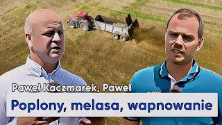 Wapnowanie, a nawozy naturalne. Rola melasy w odżywianiu gleby. Biologizacja w rolnictwie  | e-pole