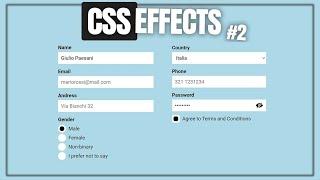 FORM moderno con INPUT, CHECKBOX e RADIO - #2 CSS Effects