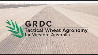 New thinking on when to apply Nitrogen to your wheat crop