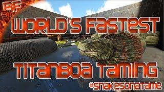 Worlds Fastest Titanboa Taming