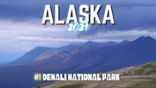 ALASKA Diaries #1  Exploring Denali National Park [Alaska Travel 2021]