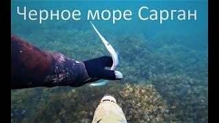 Подводная охота на Саргана.Черное море осень 2017. Видео 4k