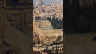 وثائقي | الكنعانيون | كيف بدأت أرض كنعان ؟ | السكان الأصليين للأرض المقدسه  | المجهر الوثائقية