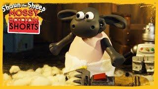 Babysitting Timmy - Shaun the Sheep [Full Episode]