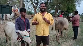 காட்பாடி அப்புகுட்டி சிறப்பு நேர்காணல் eruthukattu vellore