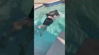 My brother falling in the pool