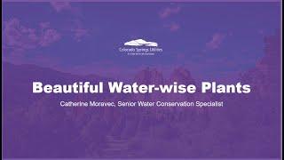 Beautiful Water Wise Plants Final