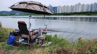 (엣지티비) 강낚시 실방 / 구독자 2000명 감사 이벤트