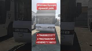 москва-бухара прямой рейс автобус