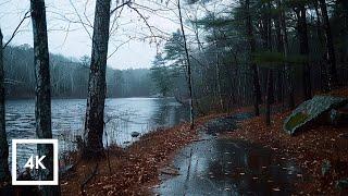 Relaxing Winter Rain Walk | Thunderstorm Sounds for Sleep & Stress Relief ASMR