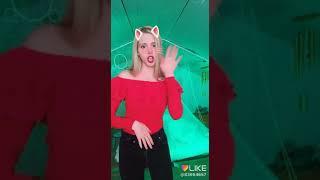 киса кисочка
