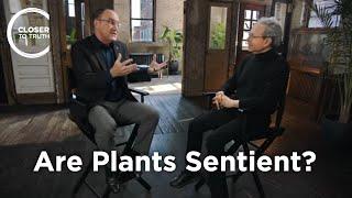 Daniel Chamovitz - Are Plants Sentient?