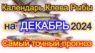 Календарь клева на декабрь 2024 Прогноз клева рыбы Лунный Календарь рыбака 2024!