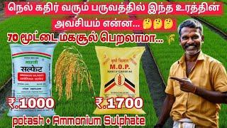 60 முதல் 70 மூட்டை மகசூல் நெல் பயிருக்கு இந்த உரம் கொடுத்தால் போதும் | potash Ammonium Sulphate 