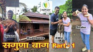सगुणा बाग, नेरळ Agro Tourism Resort Near Mumbai | Mud House | EMU-Ostrich | Iguana | Snake | Part 1