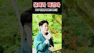 [ 현장직캠 ] 불어라 바람아 (원곡 한승기) #한승기 #불어라바람아 #박성현 #꽃길인생 #버스킹 #장태산 #미스터트롯