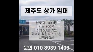 제주도 공항 근처 상가임대 - 카페, 음식점 추천