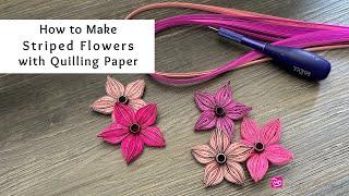 How to Make Striped Flowers with Quilling Paper | Pink and Black Flowers | Quilling for Beginners