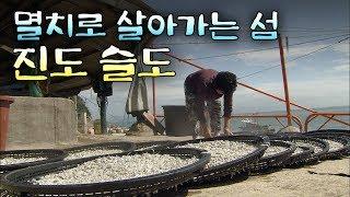 16가구가 멸치로 살아가는 작은 섬, 진도 슬도 [Korea Island]