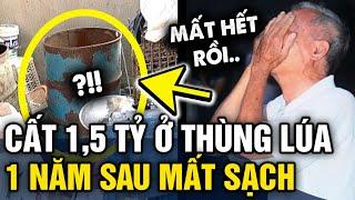 Giấu 1,5 TỶ trong thùng lúa, gia đình TÁ HỎA phát hiện MẤT SẠCH, thủ phạm gây bất ngờ | Tin 3 Phút