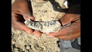 Oldest known jawbone from human found