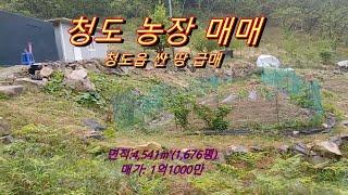 경관이 수려한 주말농장 급매/청도 농장 매매  /청도읍 부동산 매매/경남일원 토지전문  상담환영 T)055-363-0015