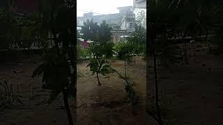 samrala chowk