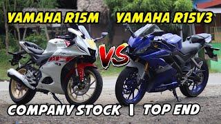 YAMAHA R15M vs YAMAHA R15v3 | COMPANY STOCK | TOP END