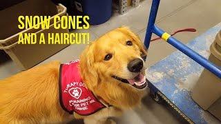 GOLDEN RETRIEVER GETS A HAIRCUT AND SNOW CONE | Oshies World