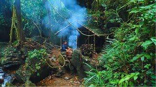 Solo Bushcraft: Build a Bushcaft house in the beautiful stream. Solo Bushcraft in the rain forest.