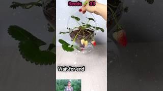 বতোল দিয়ে Home garden বানানোর কিছু ideas  #seedsplants33 #garden #homegarden #shorts #bottle