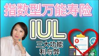 【保险】指数型万能寿险，三大功能，利与弊 Index Universal  life